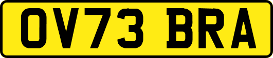 OV73BRA