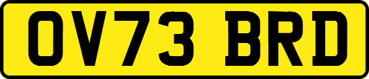OV73BRD