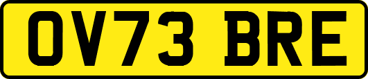 OV73BRE