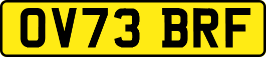 OV73BRF