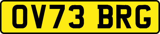 OV73BRG