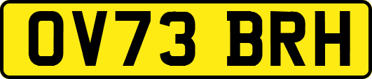 OV73BRH