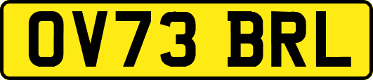 OV73BRL