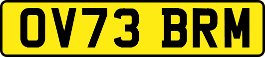 OV73BRM
