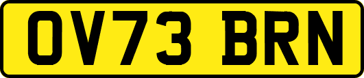 OV73BRN