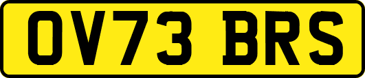 OV73BRS