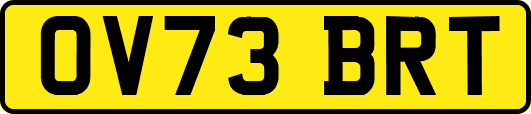 OV73BRT