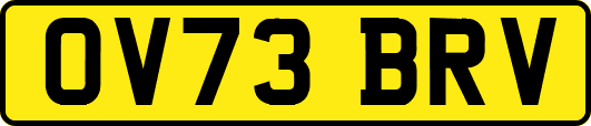 OV73BRV