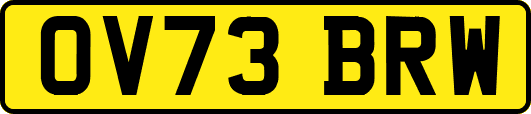 OV73BRW
