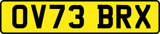 OV73BRX