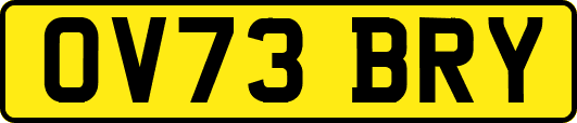 OV73BRY
