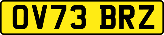 OV73BRZ