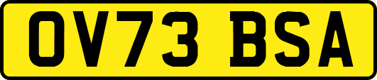 OV73BSA
