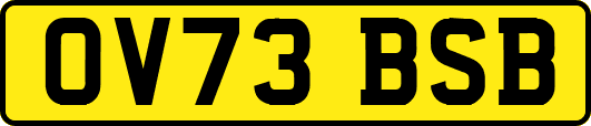 OV73BSB