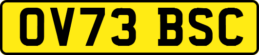OV73BSC