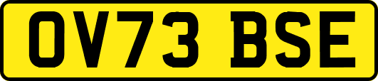 OV73BSE