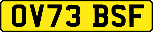 OV73BSF