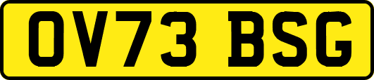 OV73BSG