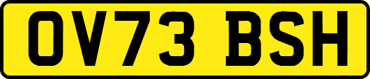 OV73BSH