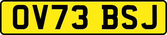 OV73BSJ