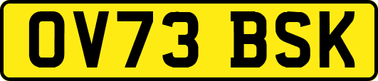OV73BSK