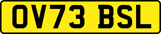 OV73BSL