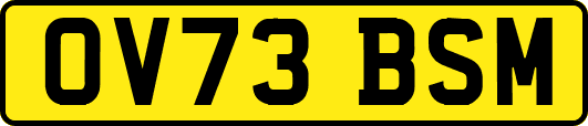 OV73BSM