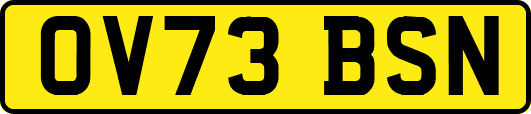 OV73BSN