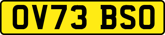OV73BSO