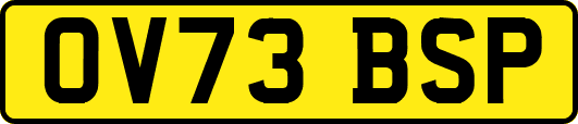 OV73BSP
