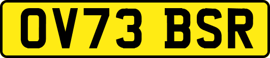 OV73BSR