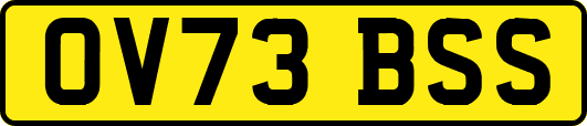 OV73BSS