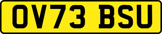 OV73BSU