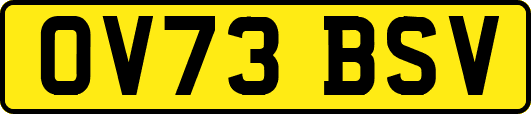 OV73BSV