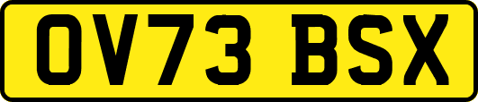 OV73BSX