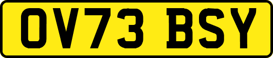 OV73BSY