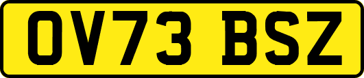 OV73BSZ