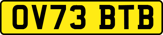 OV73BTB