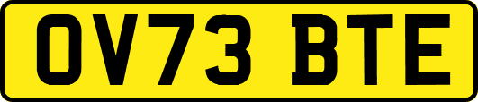 OV73BTE