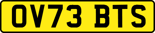 OV73BTS
