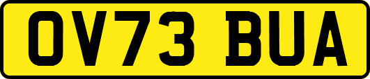 OV73BUA