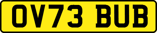 OV73BUB