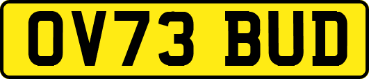 OV73BUD