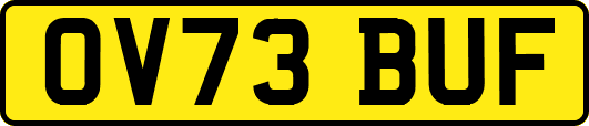 OV73BUF
