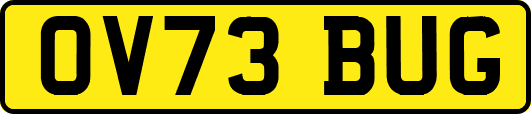 OV73BUG