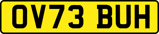 OV73BUH