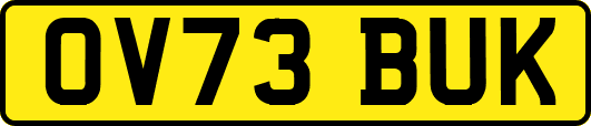 OV73BUK