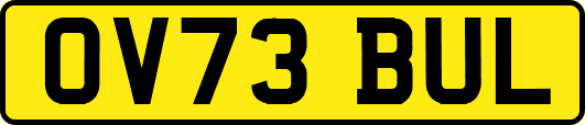 OV73BUL