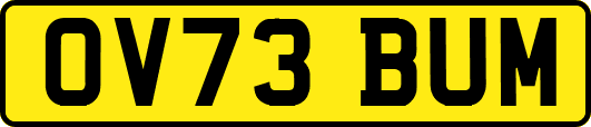 OV73BUM
