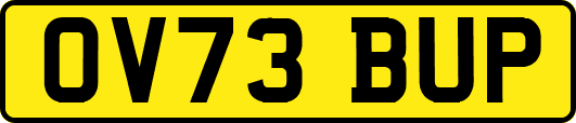 OV73BUP